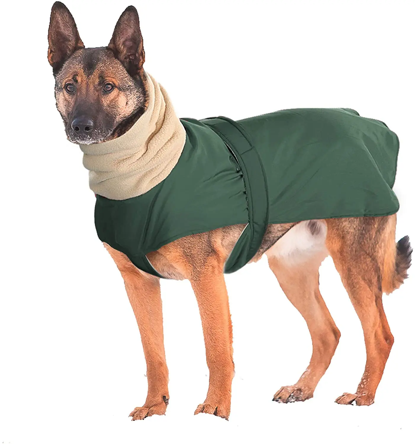 Ropa barata para perros, chaqueta de invierno, ropa italiana de Galgo, trajes de Navidad para perros, abrigos suéteres perros al por mayor|Plumones y parkas de perro| - AliExpress