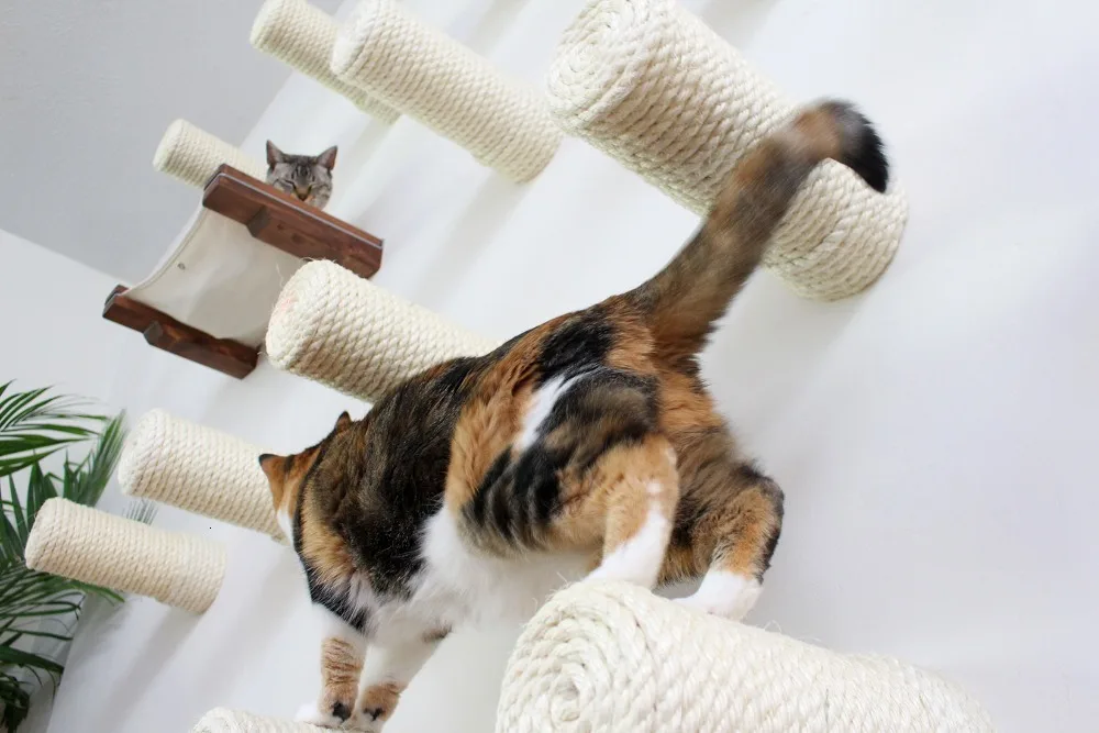 O1CN0129nnkcnqJAPga9O_!!3817198113