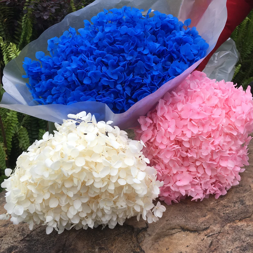 Preserved Anna Hydrangea Branch 16 20cm/ Head Natural Dried flowers