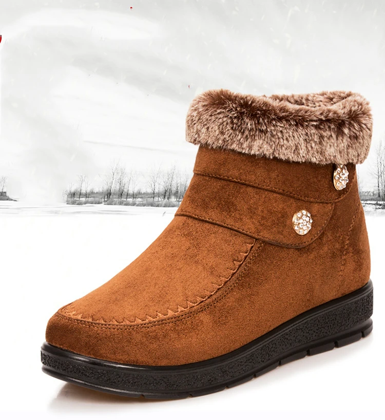 1c51f1998520d47d9d68c4d428b903dd