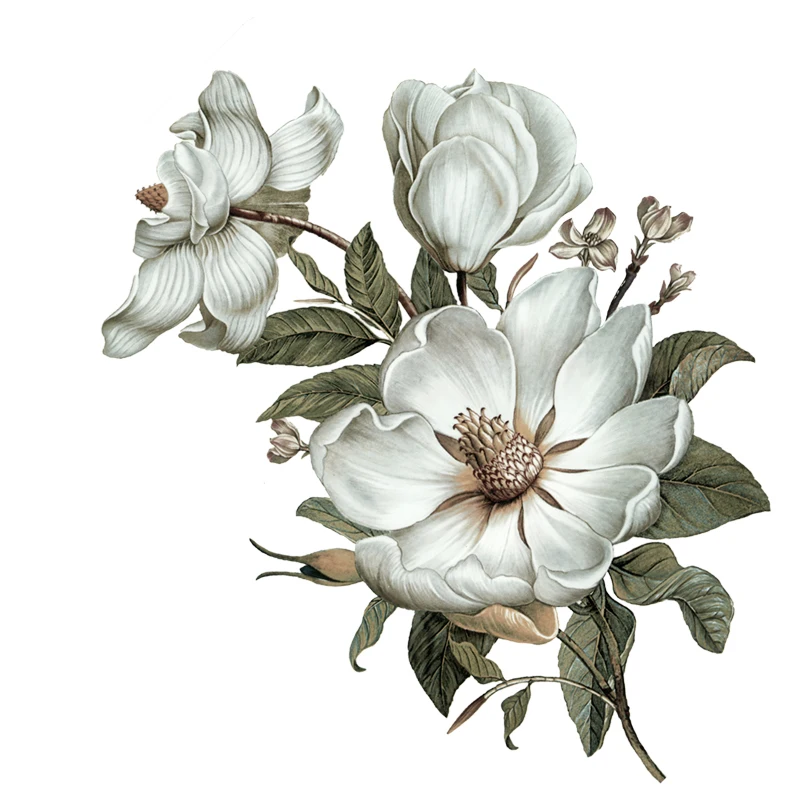 Three Ratels QC115 flowers wall sticker Classical Magnolia for home decoration art bedroom | Дом и сад
