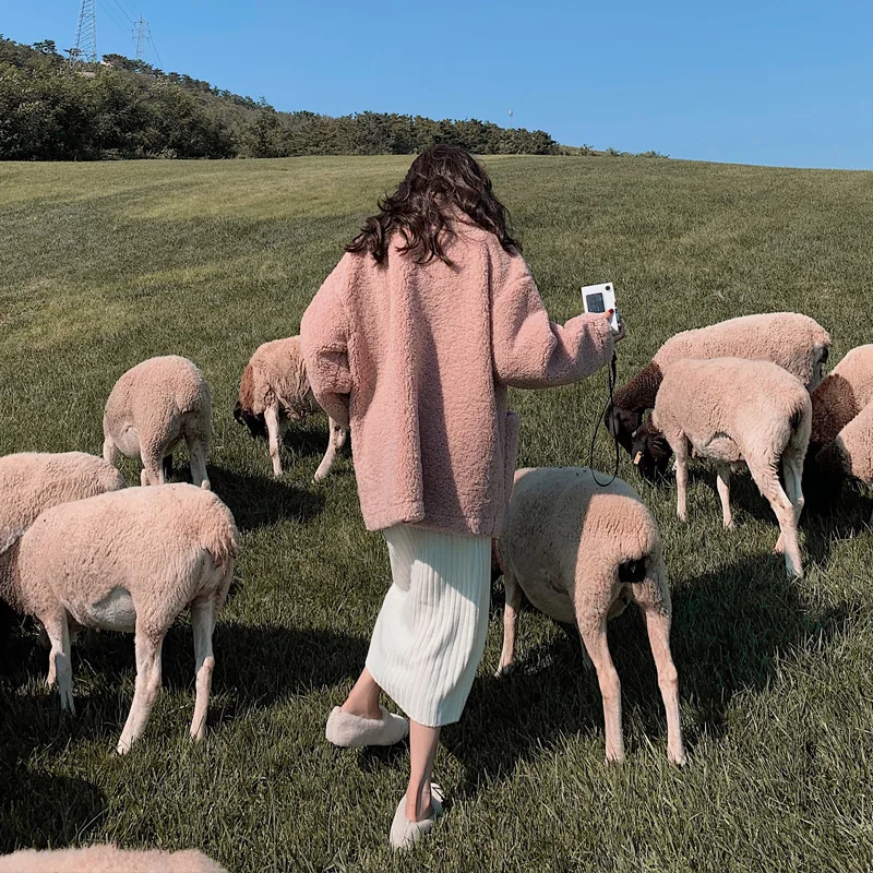 

Acz2019 Winter New Style Toggle Lambs Wool Coat Women's Korean-style Short Loose-Fit Fur Plush Tops