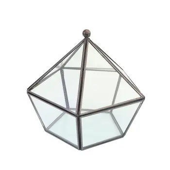 

Glass Geometry Container Makeup Organizer Jewelry Storage Box Everlasting Flower Micro Landscape Glass Cover (Black)