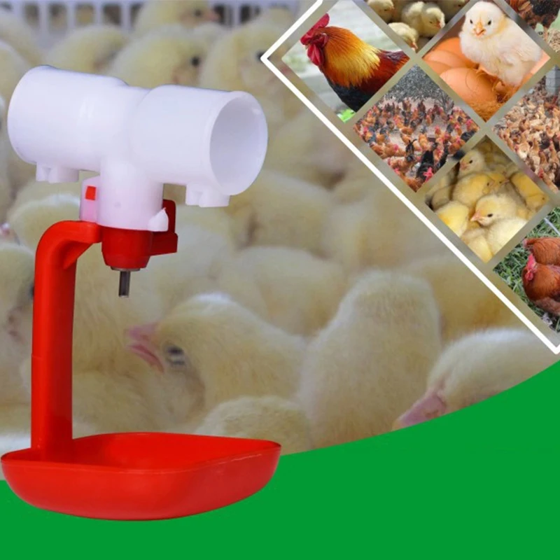 10 комплектов поилки для цыплят и перепелов|Принадлежности кормления поения| |