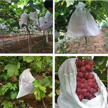 

100Pcs Garden Vegetable Grapes Apples Fruit Protection Bag Agricultural Pest Control Anti-Bird Mesh Bags MYDING