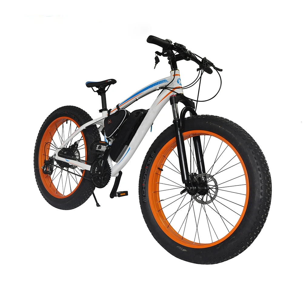 Bike EcoRider E6-5 2 Wheel 48v Electric E6-5 350W Snow Bicycle battery electric bike