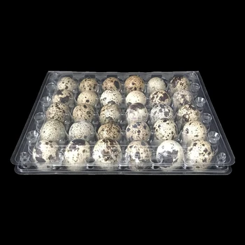 

12 Pcs Durable 24 Grids Plastic Egg Flat Quail Egg Storage Box Egg Carrier Packaging Box for Home Restaurant Shop