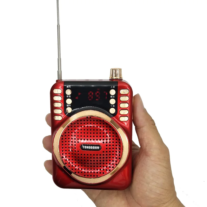 30 Вт с 4800 мАч 18650 батарея мини Bluetooth МегаФон динамик TF USB fm-рекордер функция голосового усилителя микрофон для учителя