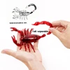 Realistic RC Scorpion, Infrared Remote Control Scorpion Model Toy Animal Present Gift Simulation Joke Scary Trick Toys Kids 4