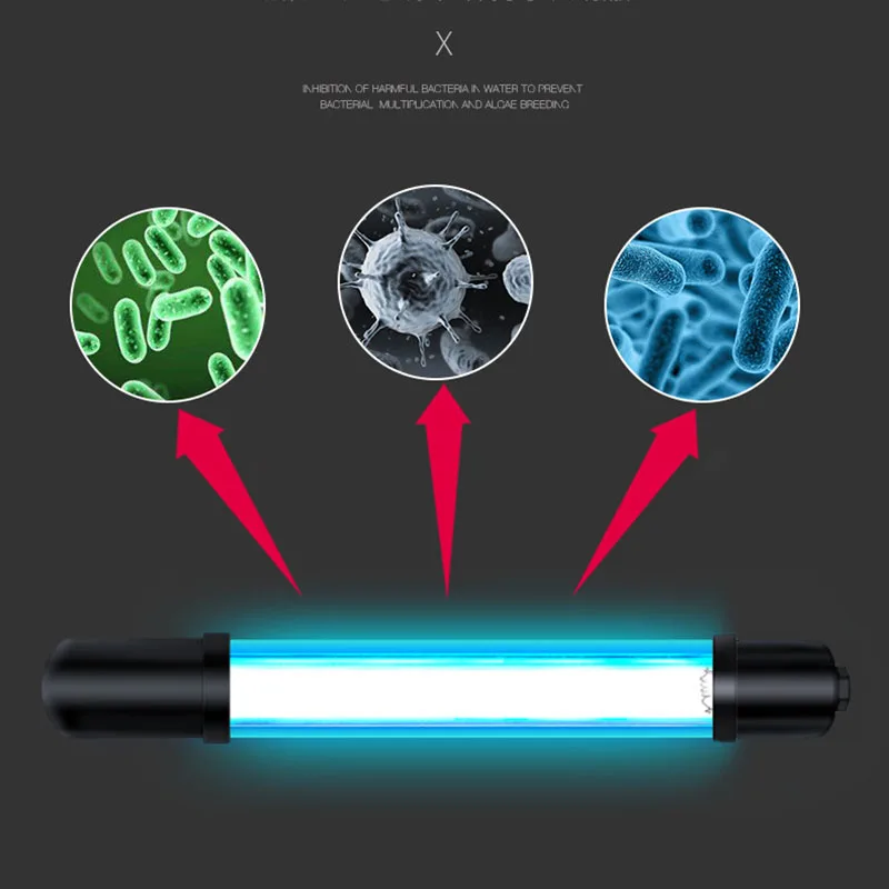 10262333622_1543822411