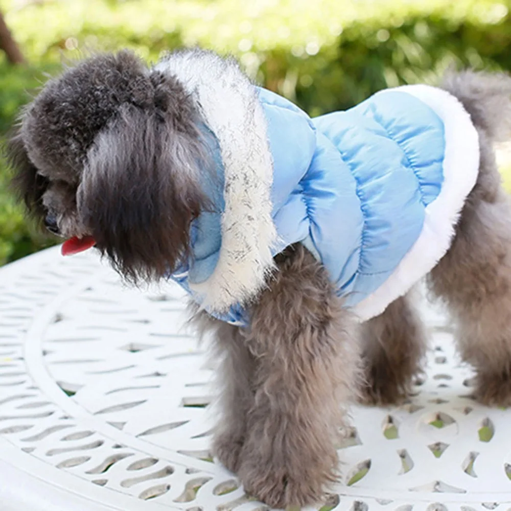 CJJ91216892BUL_0532417532720407283