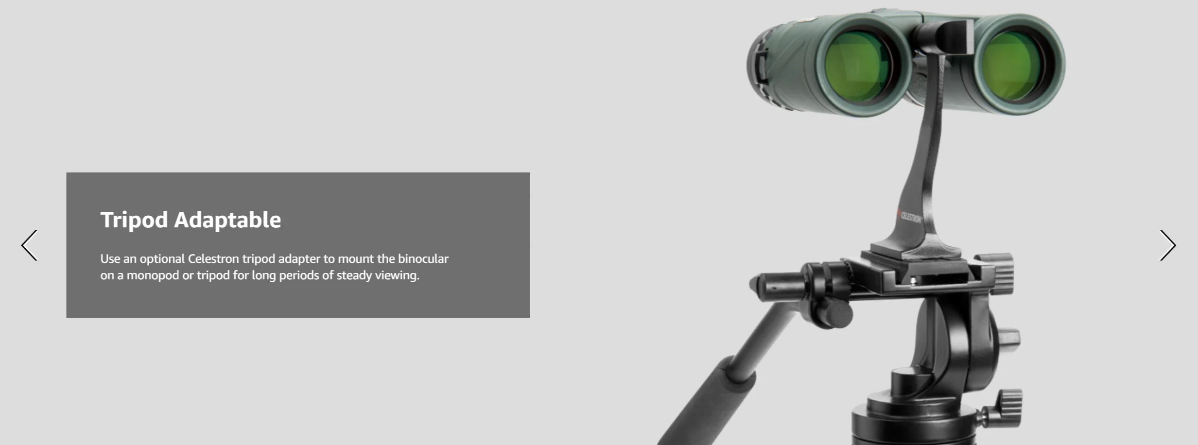 Celestron Nature DX 10x42 бинокулярный BaK-4 призмы Компактный телескоп ночного видения для охоты птиц смотреть концертный кемпинг