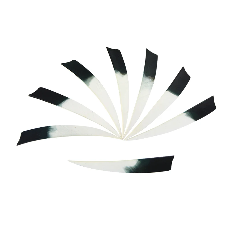 Стрелы для стрельбы из лука с перьями 5 дюймов 50 шт.|Дартс| |