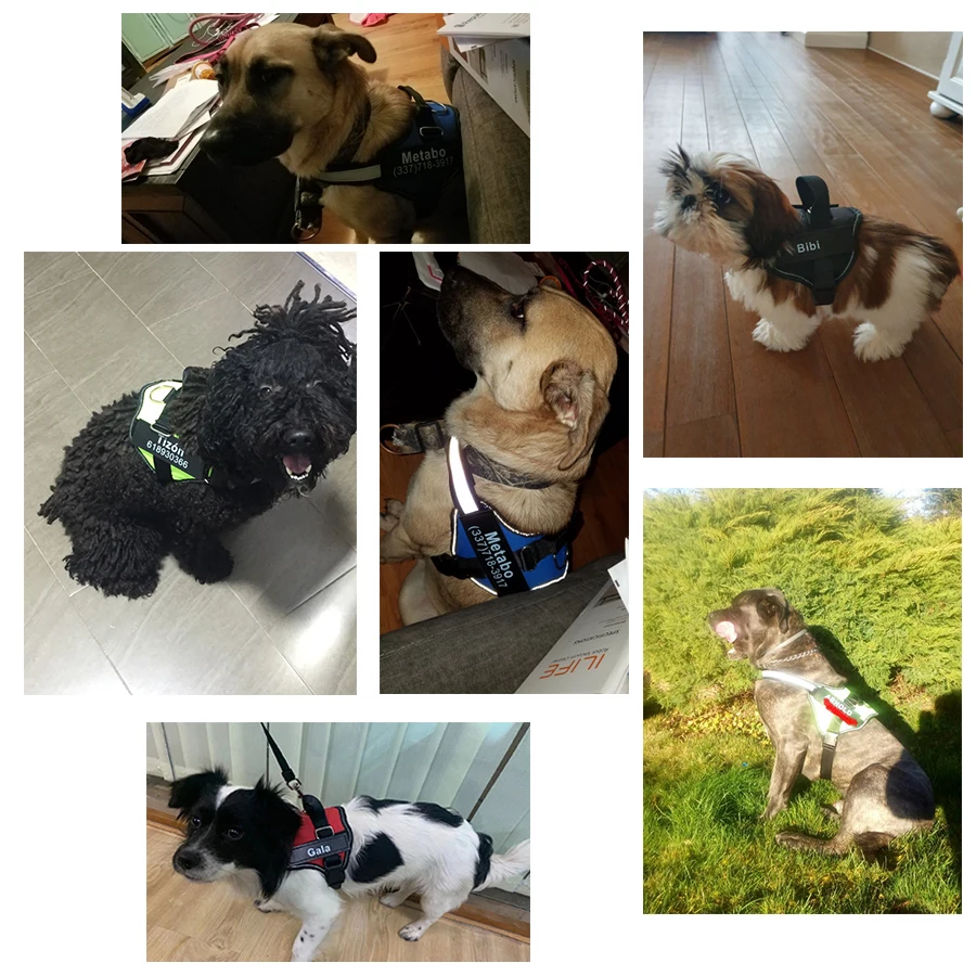 H38f0e600daa2450fbcaf2eb95d56ce2fD