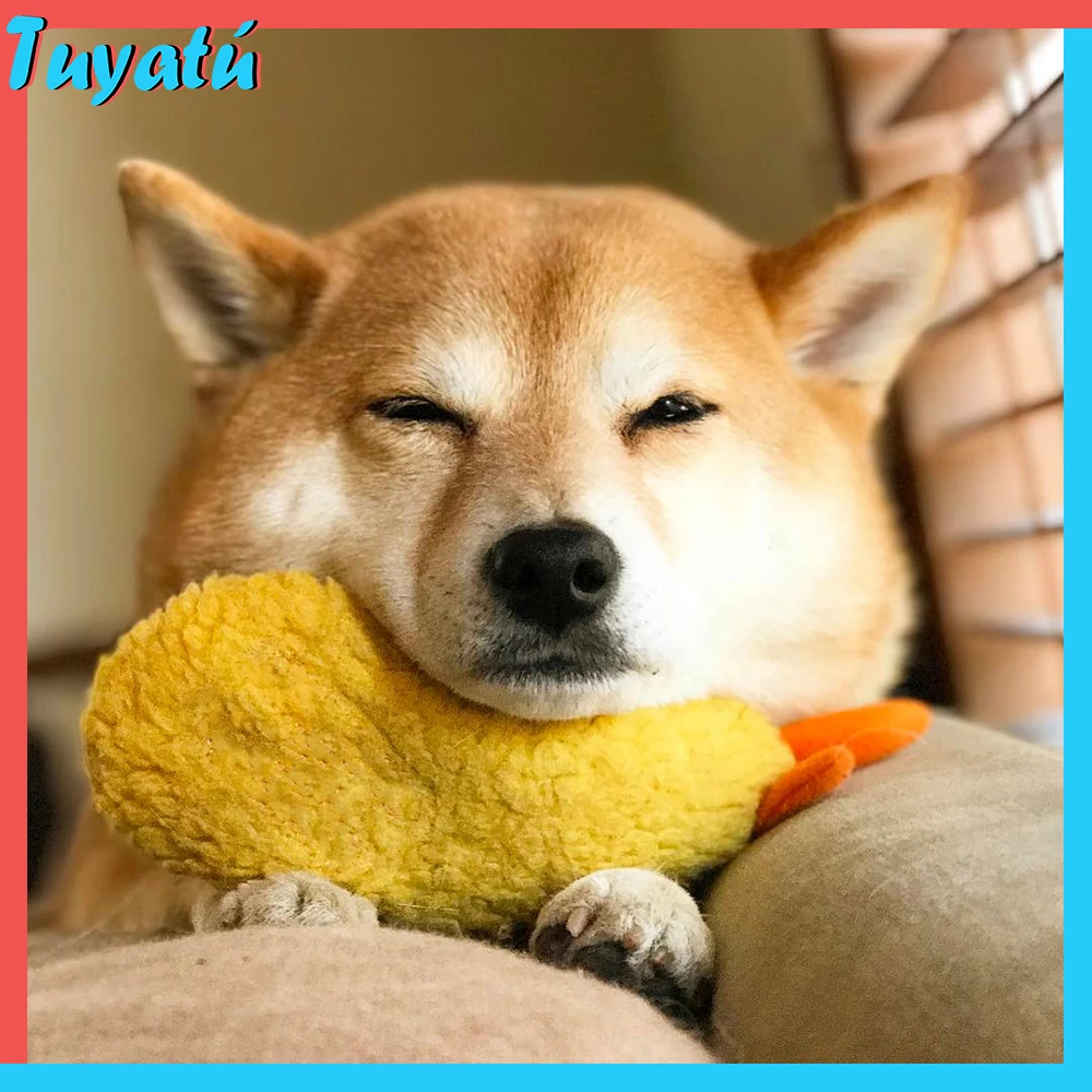 Tempura интерактивные игрушки для собак больших маленьких Kawaii милые умные пищащая