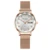 Women Watch Rose Gold Montre Femme Women's Mesh Belt ultra-thin Fashion relojes para mujer Luxury Wrist Watches reloj mujer 13