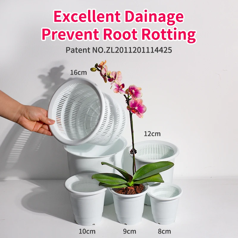 Двойные обои с орхидеей горшок для суккулента пластиковый сад кактус цветочный