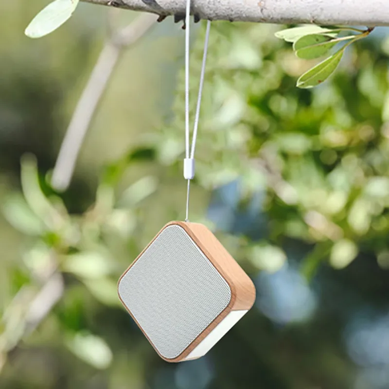 Портативный Мини Бас-Колонка bluetooth маленький динамик Поддержка Micro SD/TF карты/USB Flash 1