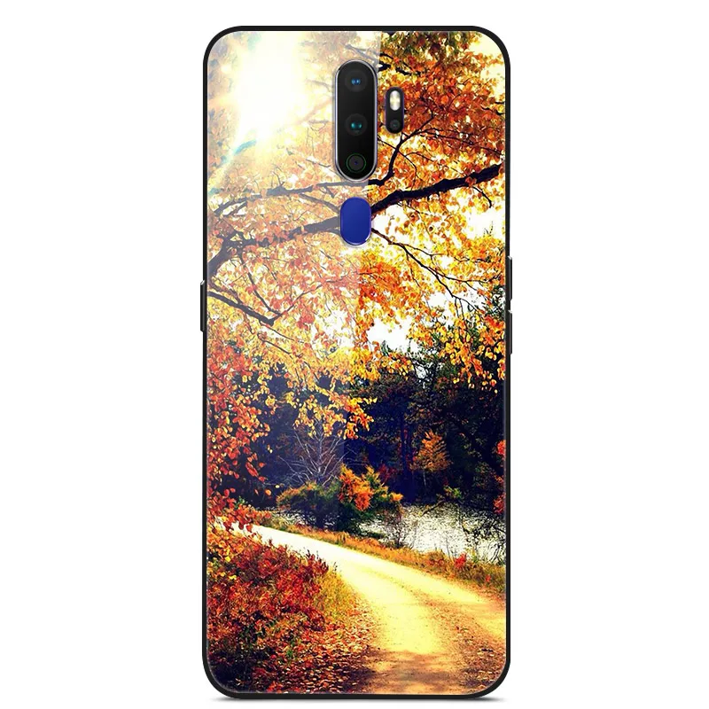 Для OPPO A5 чехол из закаленного стекла жесткий чехол s чехол для OPPO A5 чехол для телефона мягкий бампер для OPPOA5 A 5 6,5'' - Цвет: 52