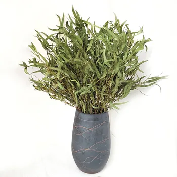 

7 Stems Dried Natural Eucalyptus Branches Slender Leaves Flower Arrangement Decor No Vase