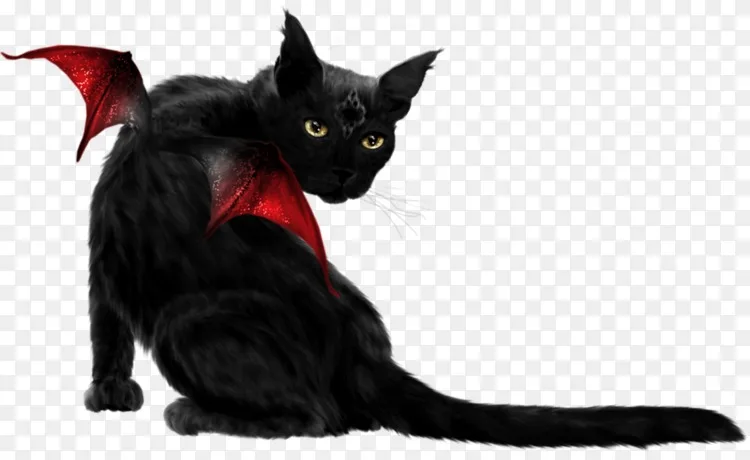 孟买猫黑猫小猫须 红翅膀黑猫png图片素材免费下载 图片编号 Png素材网 孟买猫黑猫小猫须 红翅膀黑猫png图片素材免费下载 图片编号 Png素材网