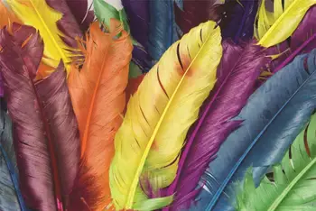 

Colourful Feather Mural Living Bedroom Wall Background Decor Customized Wall Mural Wallpaper