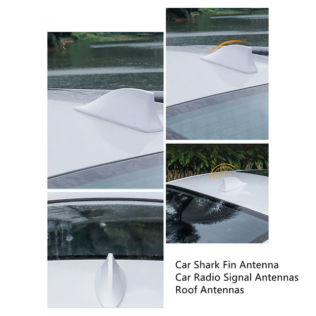 Car Shark Fin Antenna Car Radio Signal Antennas Roof Antennas for  Volkswagen Golf 4 5 6 7 Tiguan Passat b5 B6 B7 CC MK5 MK6 Polo - AliExpress