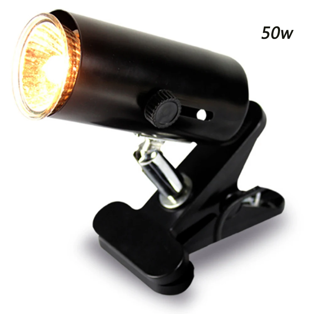 holder and 50w lamp#2