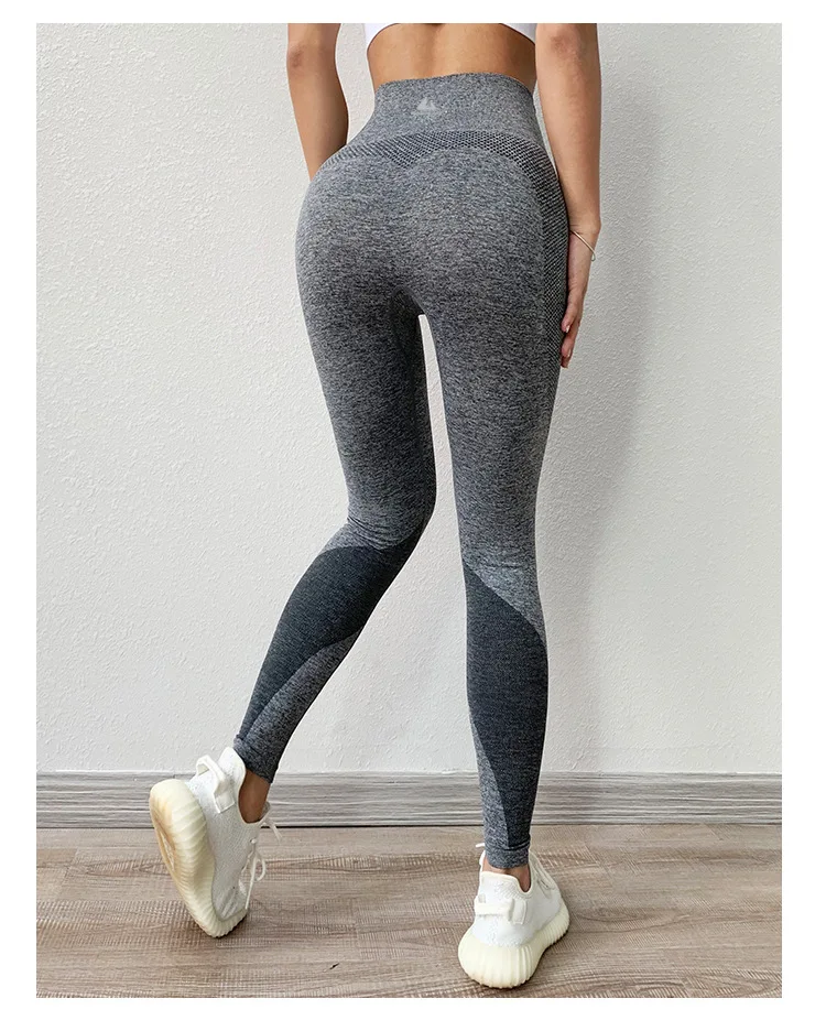 11244424003_33667814