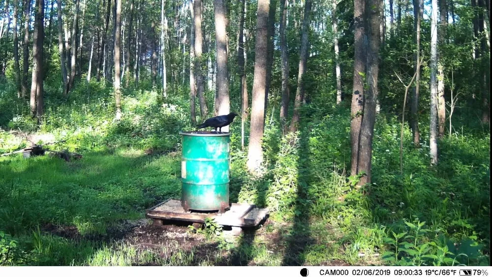 CAM000_20190602_0900