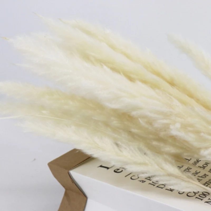 Натуральный высушенный Рид завод пампасной травы Phragmites Communis Свадебные украшения
