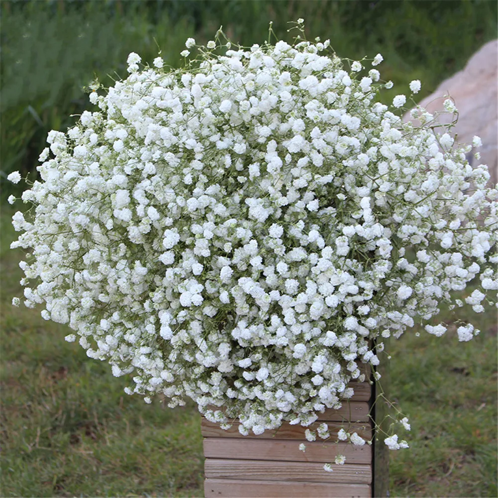 Drop Shipping 110G White Natural Dried Baby Breath Flower Big Head Wedding Home Decoration Gift Bouquet | Дом и сад