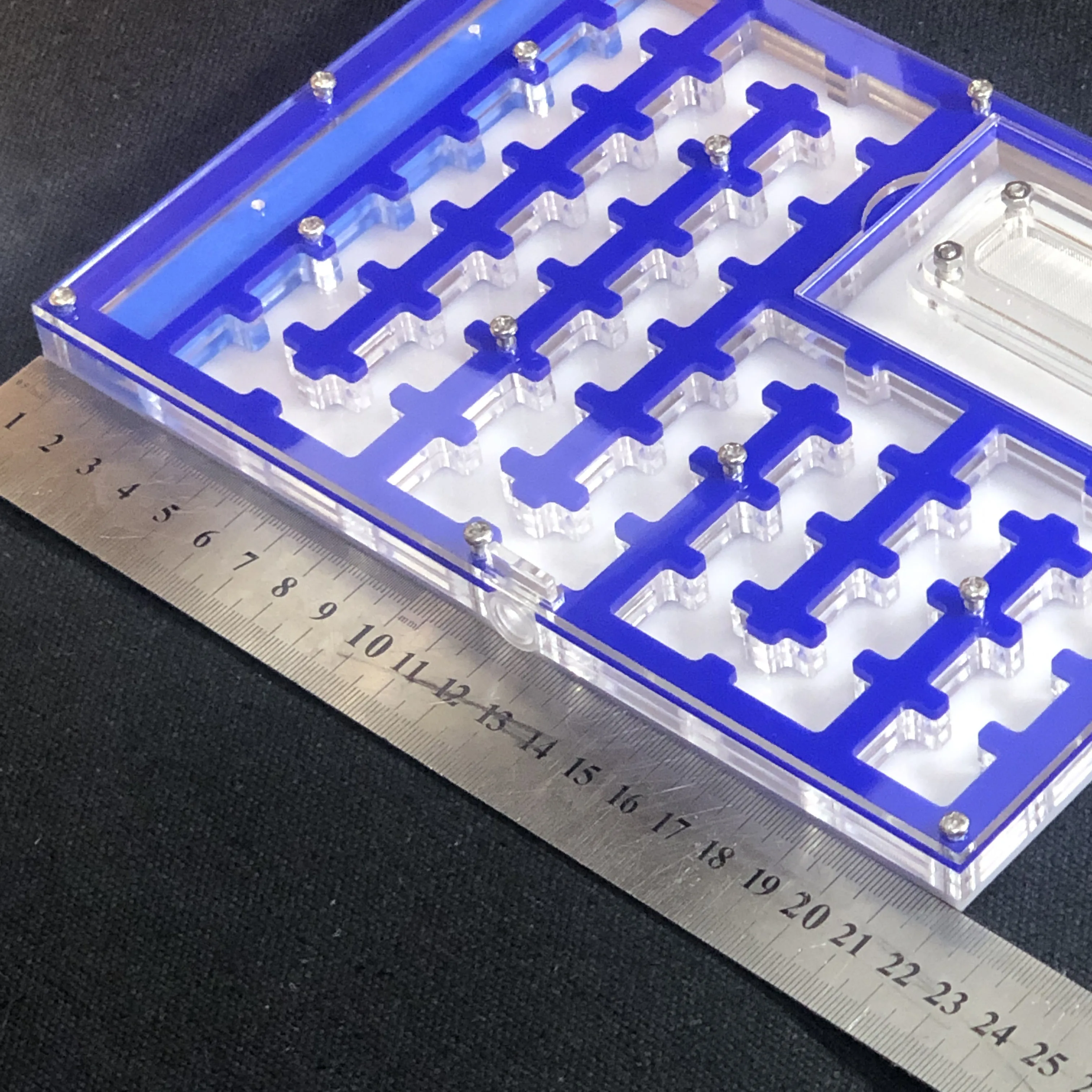 BIG Space Acrylic ant farm maze,Ant Nest with Feeding Area and moisturing zone Ant House for Pet Anthill