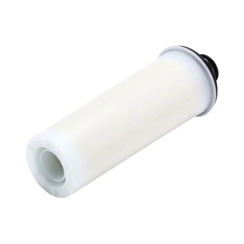 Descaling Cartridge Filter Rod for Karcher SC 2U SC2UP SC3 SC3U SC3UP Upright Premium Series Steam Cleaner Accessories Purifier