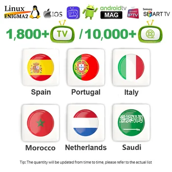 

IPTV Spain Subscription Portugal Italia Nederland Belgium Arabic Code IPTV M3U Tunisia Germany Dutch 4K Algeria Morocco IP TV