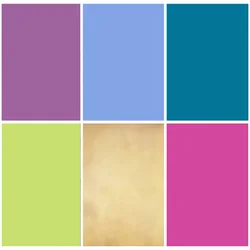 SHUOZHIKE Vinyl Custom Photography Backdrops Props Solid color single color simple Theme Photo Studio Background 210215 SG-06 SHUOZHIKE Vinyl Custom Photography Backdrops Props Solid color single color simple Theme Photo Studio Background 210215 SG-06