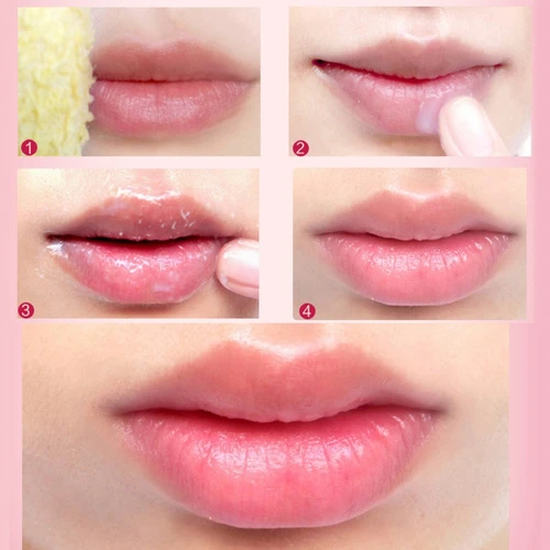 시어 버터 립 스크럽 메이크업 영양 보습 립밤, 안티 에이징 각질 제거 풀 립밤, 각질 제거 립 케어 4