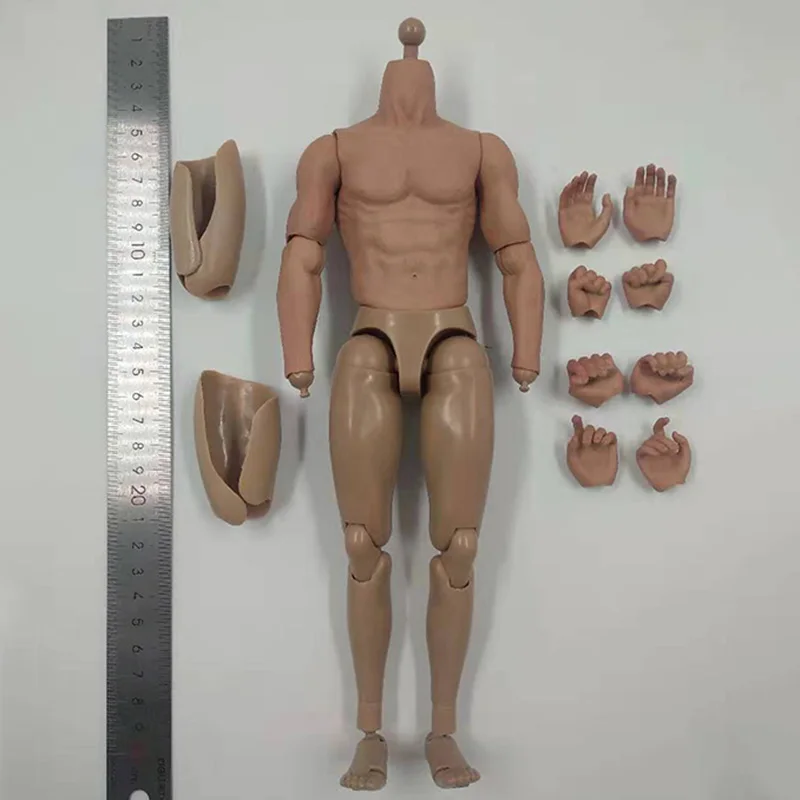 1/6 Scale S005 Male Man Boy Body Figure Military Chest Muscular Similar to TTM19 12