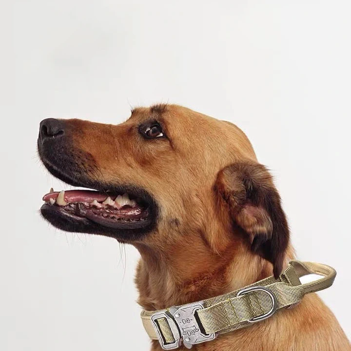 Adjustable Nylon Wear-Resistant Tactical Pet Collar