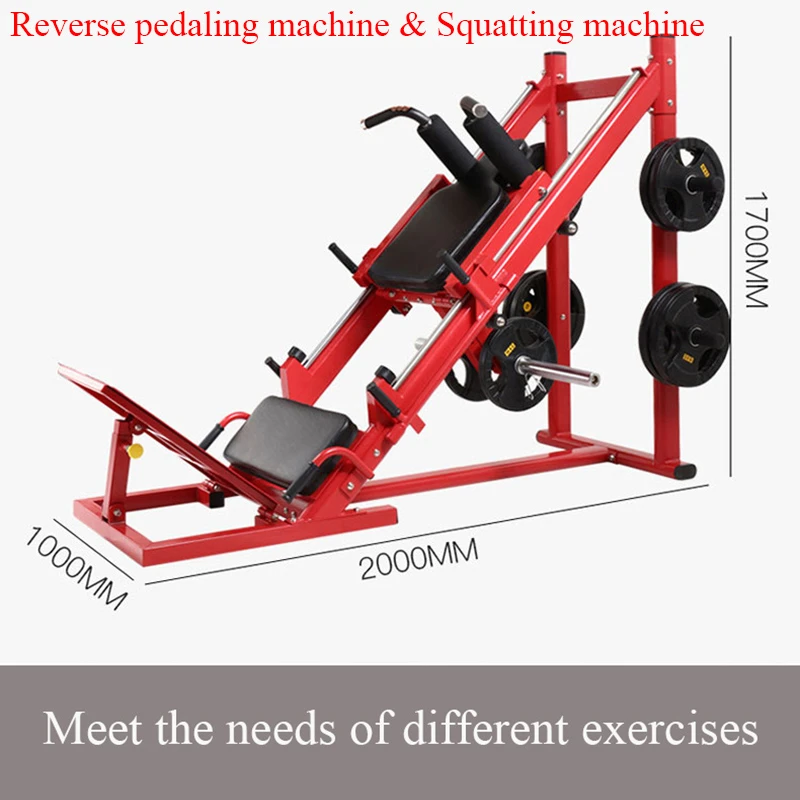 whole body exercise machine