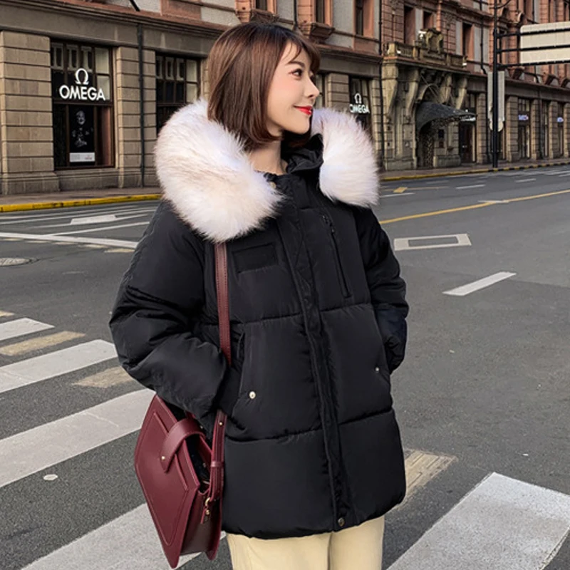 

2019 Winter New Cotton Coat Female Short Section Korean Version Of The Hooded Jacket Loose Down Cotton Clothing Women