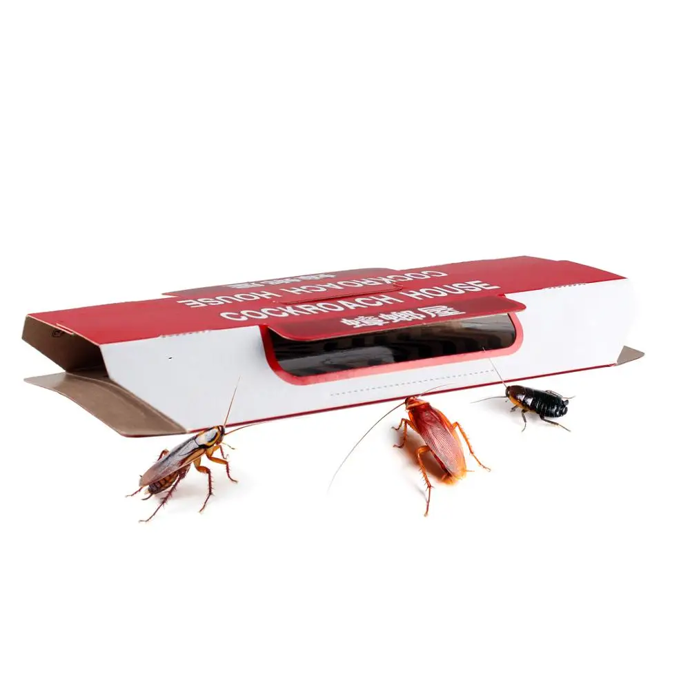 10 шт., клеевая ловушка для тараканов, наживка, в комплект входит kill Roach Killer, анти-ловушка для тараканов, Цельсия, СВЕРЧКИ