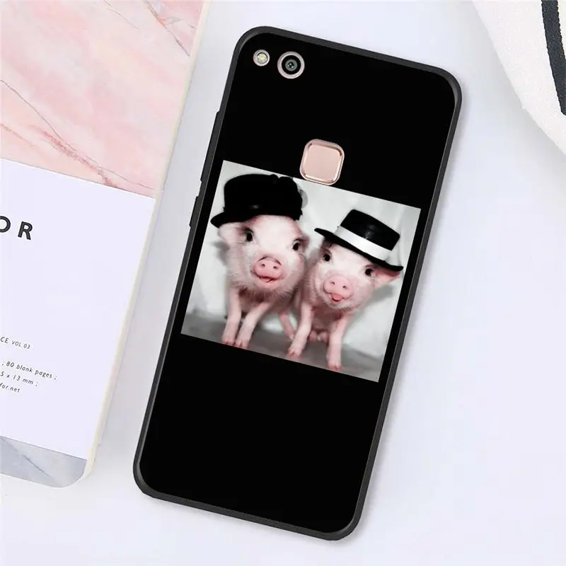 Cute Little Pink Pet Pig