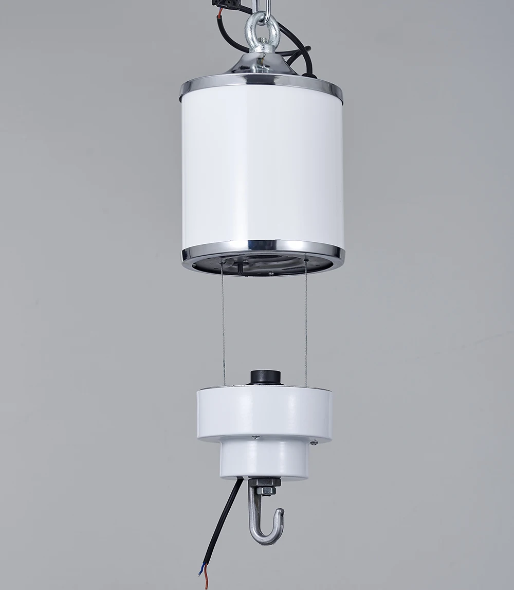15 KG 15 M Electric Winch Lifter Remote Control Coding Laser Lighting Hoist Electric Winch Lifting Light 2 Steels