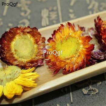 

Ngryise 200Gram A Set Helichrysum bracteatum