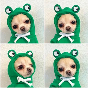 

Cute Fruit Cat Dog Autumn and Winter Hoodies Sweatshirt Pet Clothes for Small Dogs French Bulldog Coat Jacket Dogs Pets Clothing