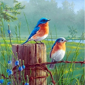 

Fuyun 5D Diamond Painting Two Birds Full Round Diamond mosaic Sale Picture Rhinestone Diamond Embroidery Natural Scenery