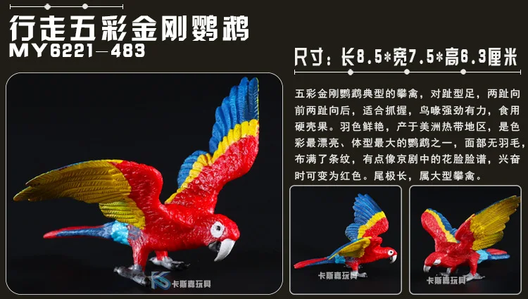 Wild Animal Model Solid Model CHILDREN'S Toy Pet Model 8-Selectable Five-color Jingang Parrot Bird