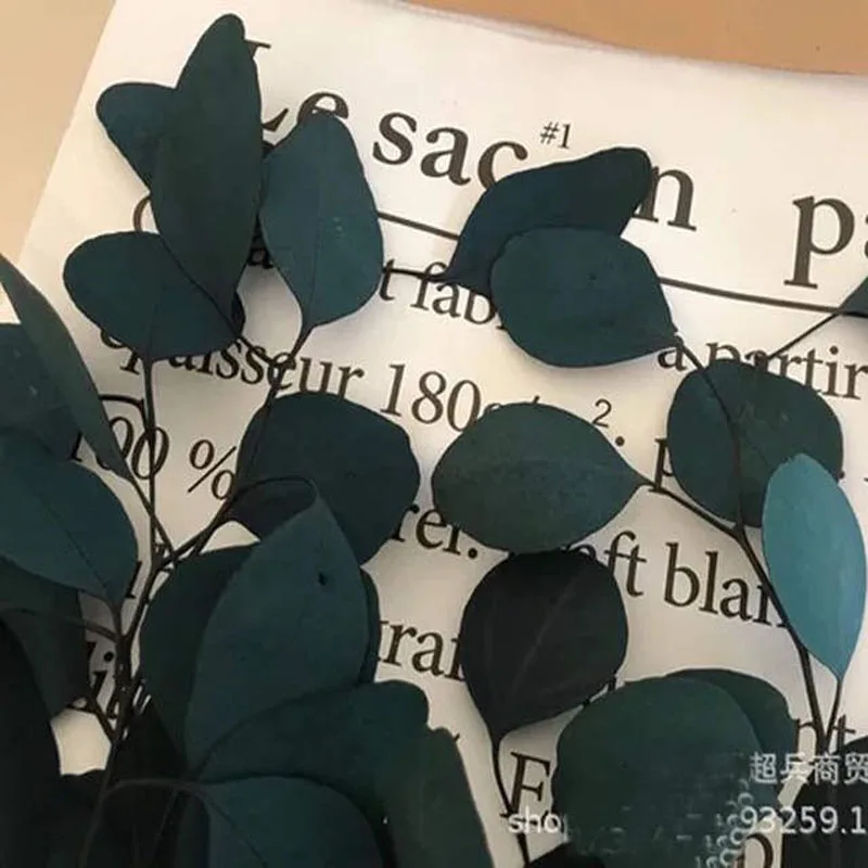 200 г/45 см консервированный Природный лист эвкалипта, сделай сам, цветок этернелл, свадебный венок, подарок для дома, Декор, консервированное сушеное растение