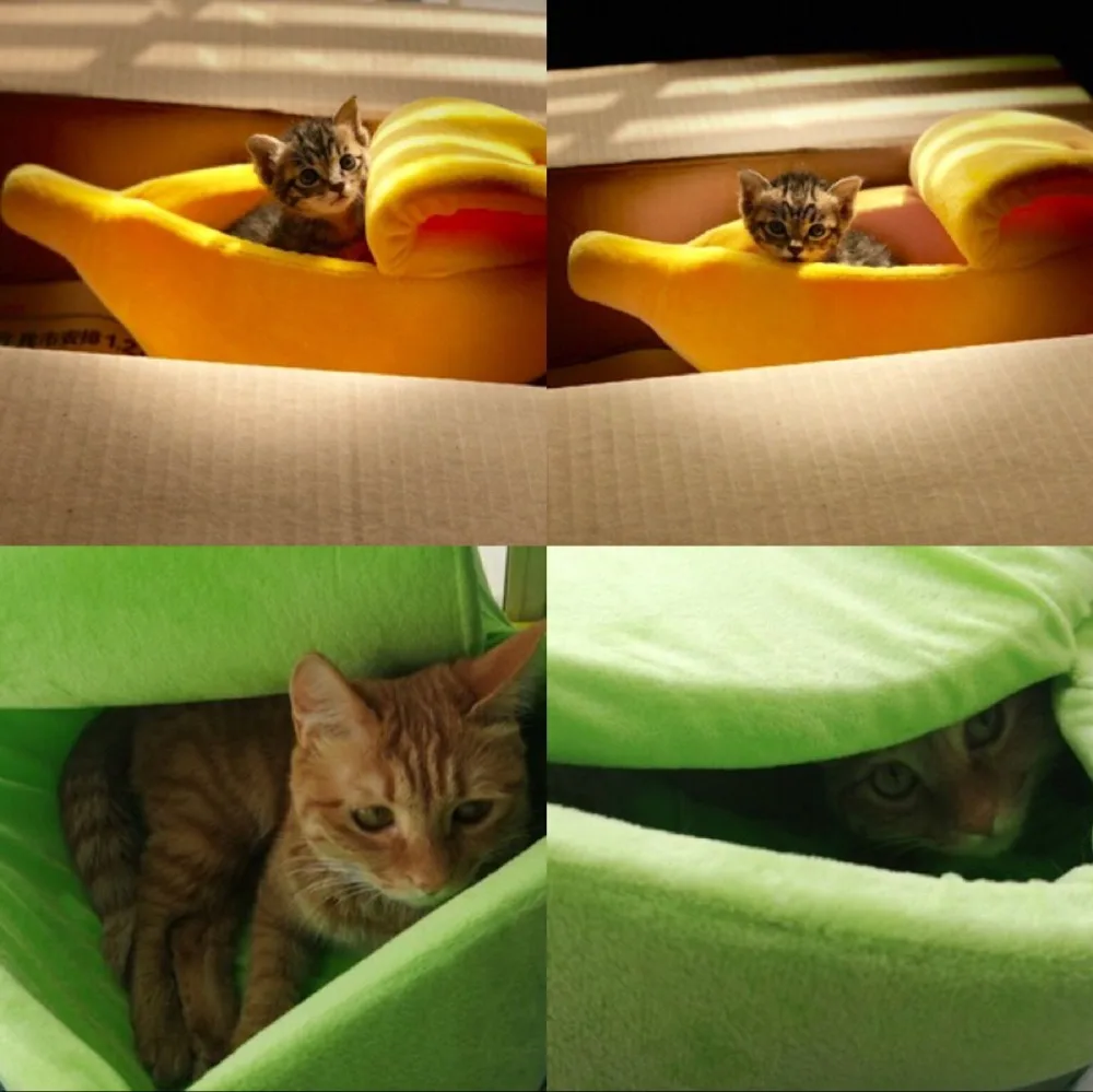 QQ图片20190910135318